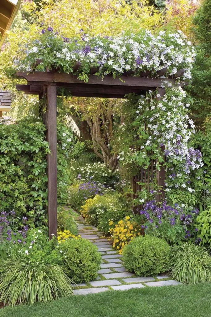 garden trellis covered with blooming clematis vines beside a pathway