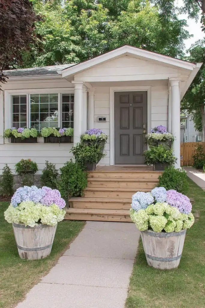 front entrance with large potted plants creating a simple welcoming look