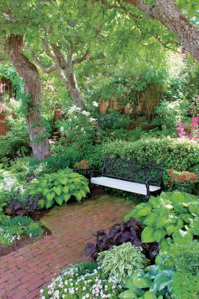 lush shade garden with layered foliage plants and a small bench