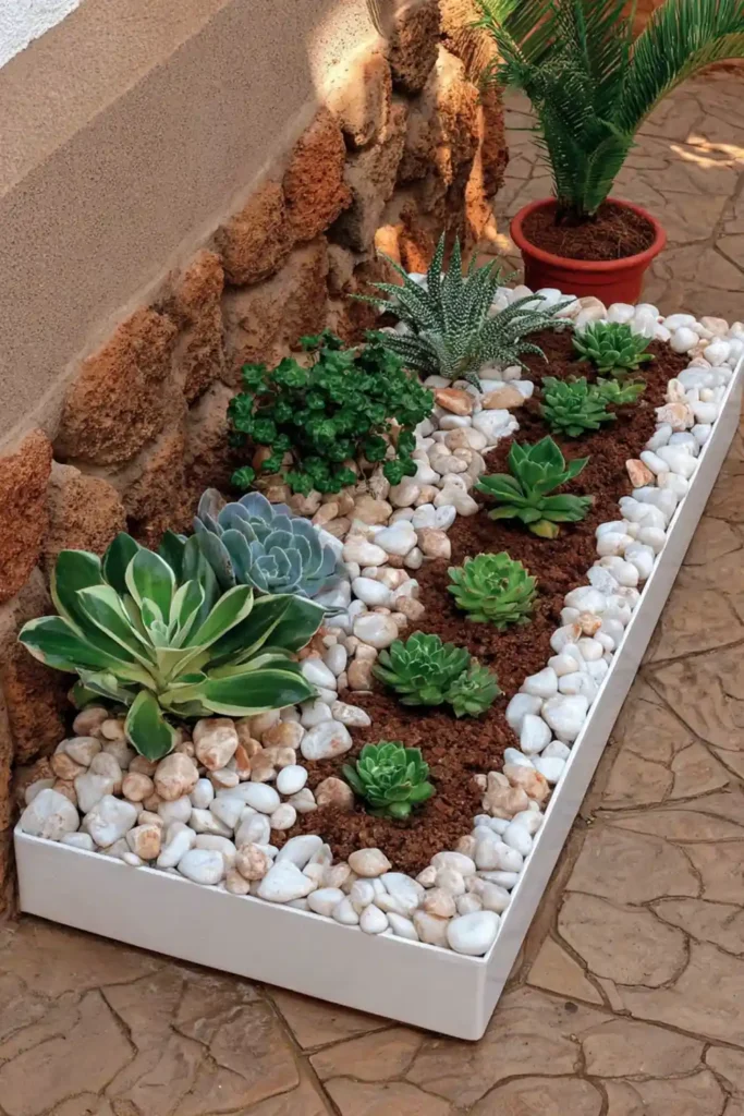 Small succulent garden with pebbles in a simple and compact arrangement