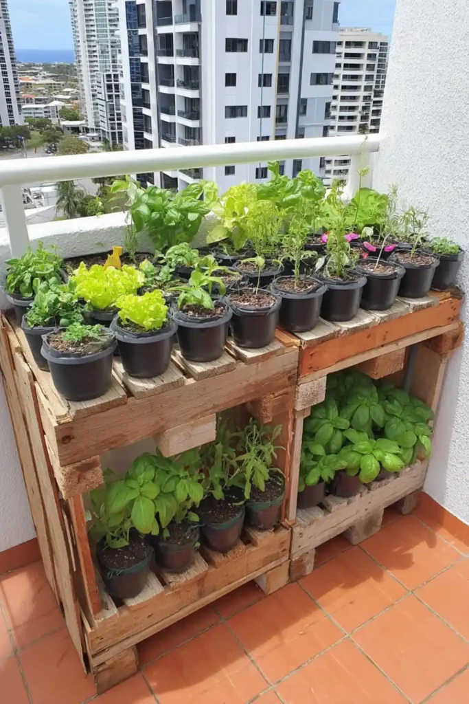 Apartment balcony pallet garden with tiered wood stand and black round pots