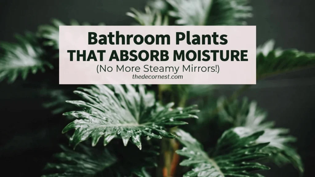 Moisture-Absorbing Bathroom Plant Decor