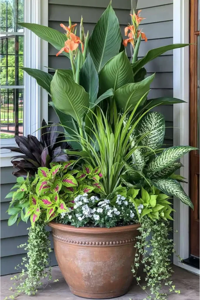Large terracotta corner planter with orange blooms, variegated coleus, dark leaves, and trailing ivy