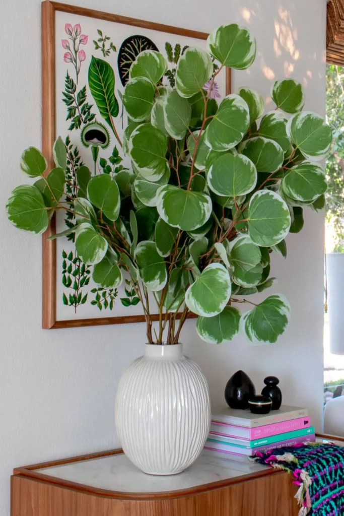 Eucalyptus stems in a white ceramic vase beside framed botanical artwork, stacked books, and small black decor.