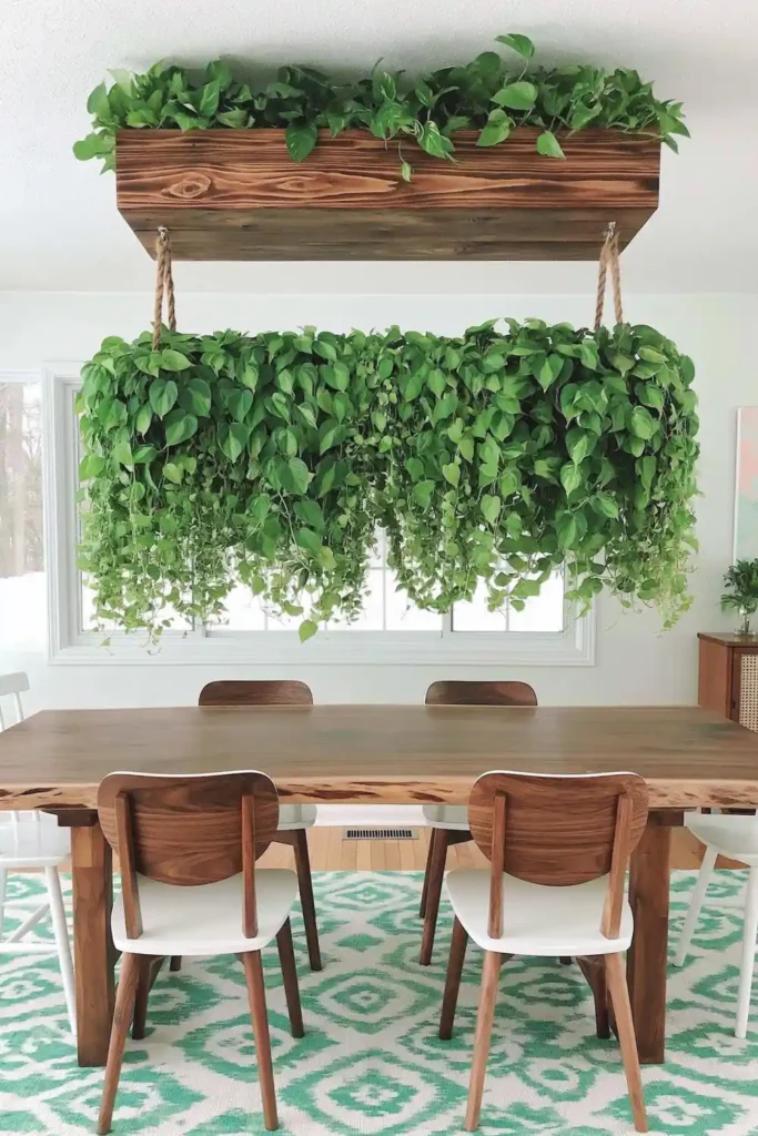 Rustic hanging wooden planter with trailing vines and leafy plants above a wooden dining table in an airy dining room.