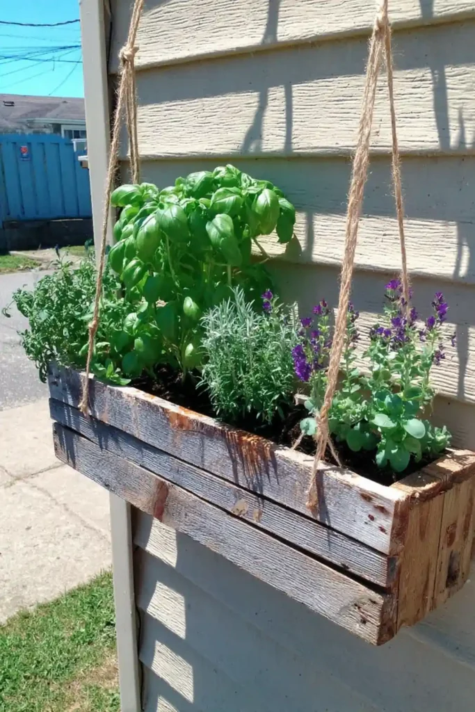 Hanging pallet herb planter mounted on cream siding with small herbs on top