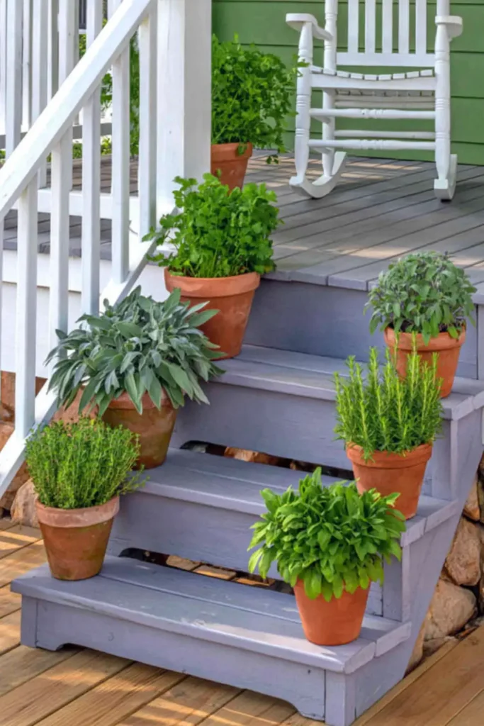 Terracotta herb pots filled with leafy green herbs lined along gray porch steps beside a white rocking chair