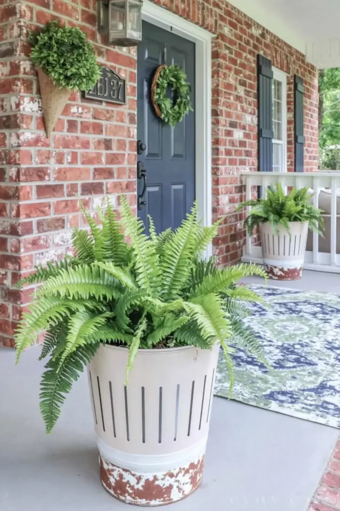 Metal bucket fern planters beside a blue front door on a rustic farmhouse porch.