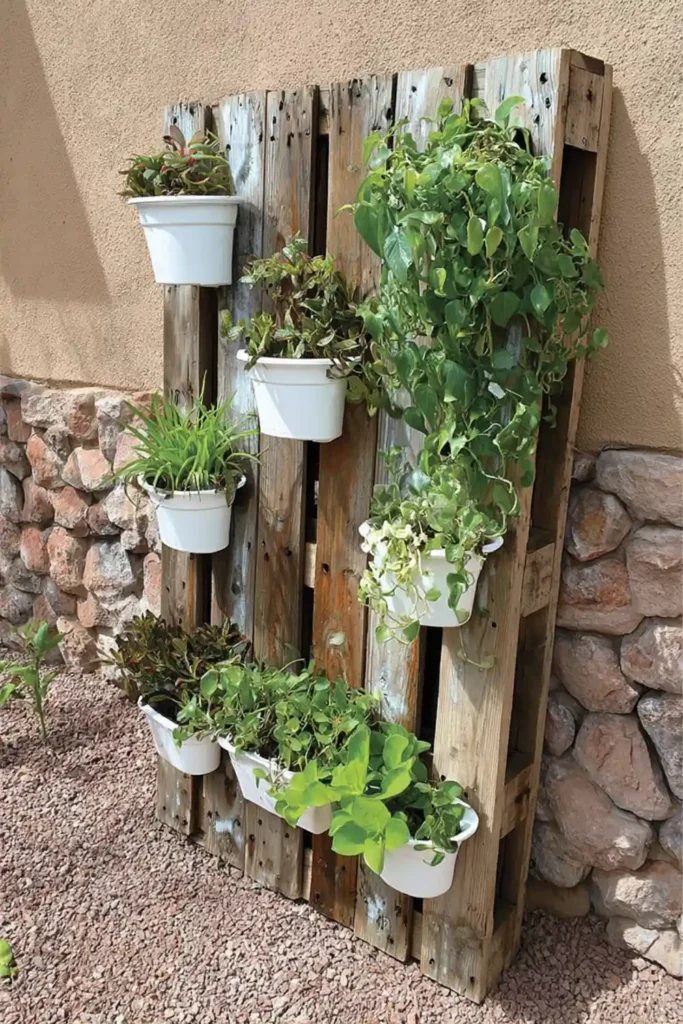 Gray painted vertical pallet garden with white pots against a tan stone wall