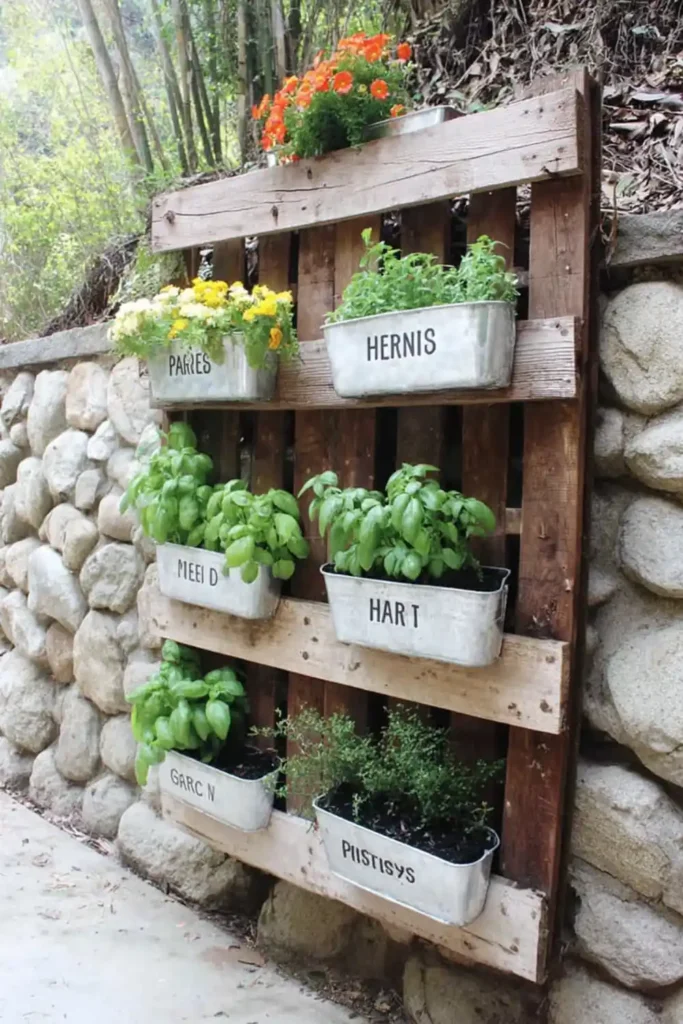 Gray pallet garden with galvanized metal planter boxes and yellow orange flowers