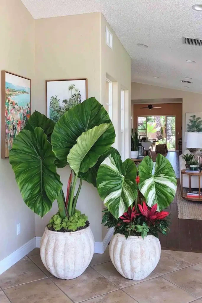 Two large leafy plants in decorative urn-style planters on a tiled floor in an elegant indoor living area.