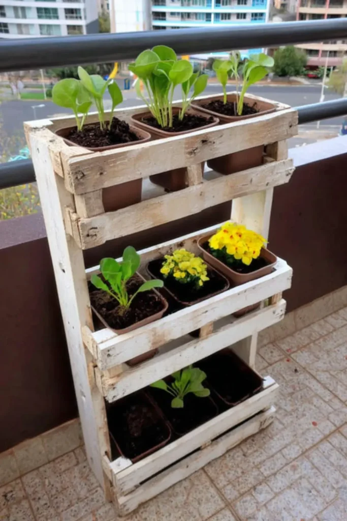 Small balcony vertical pallet planter with three levels and young plants