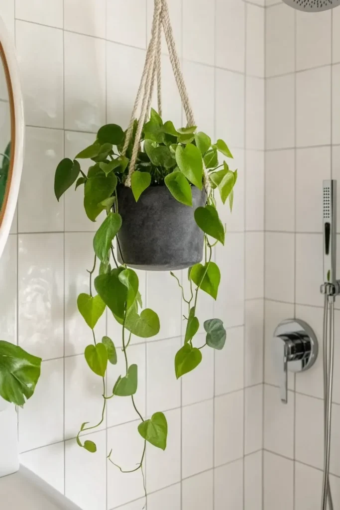 8 Windowless Bathroom Plant Decor Ideas That Actually Work 7 Bright white bathroom with a hanging spider plant in a blue-gray pot and macrame cords