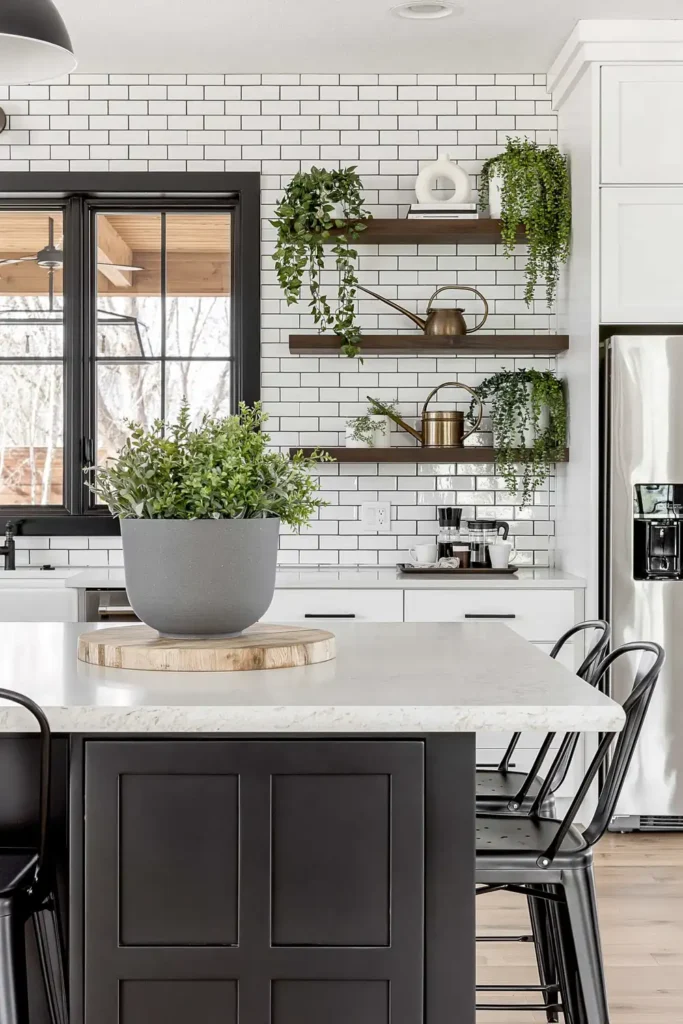 Styled kitchen counter with a black island, white stone countertop, gray planter, trailing plants, wall shelves, and black-framed window.