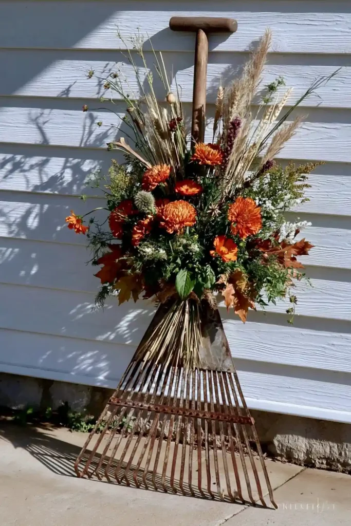 Rustic Fall Planters for the Front Porch That Bring Warm Autumn Charm 31 Old garden rake fall planter display with orange flowers, dried grasses, leaves, and stems against white siding.