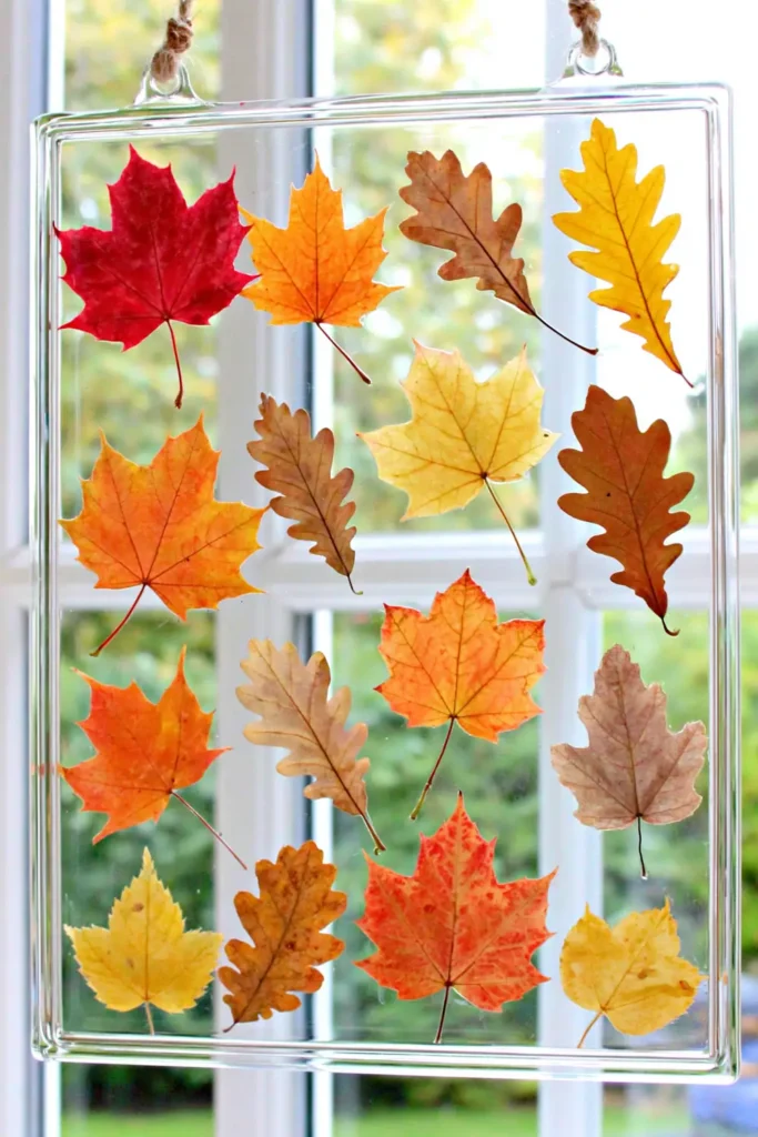 Pressed fall leaves displayed in a double-glass suncatcher frame hanging in a sunny window.